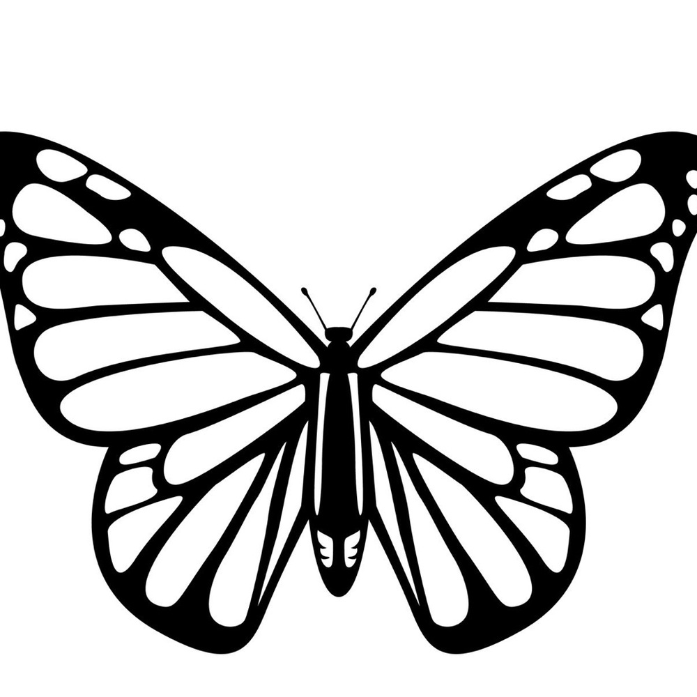 Meet your Posher, Karly